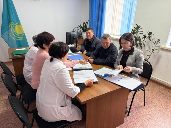 Қамқоршылық кеңес жұмысы